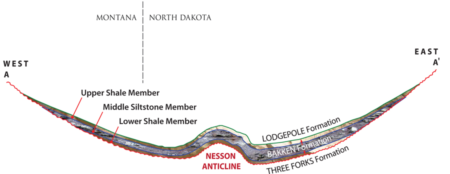 Cross Section of Bakken